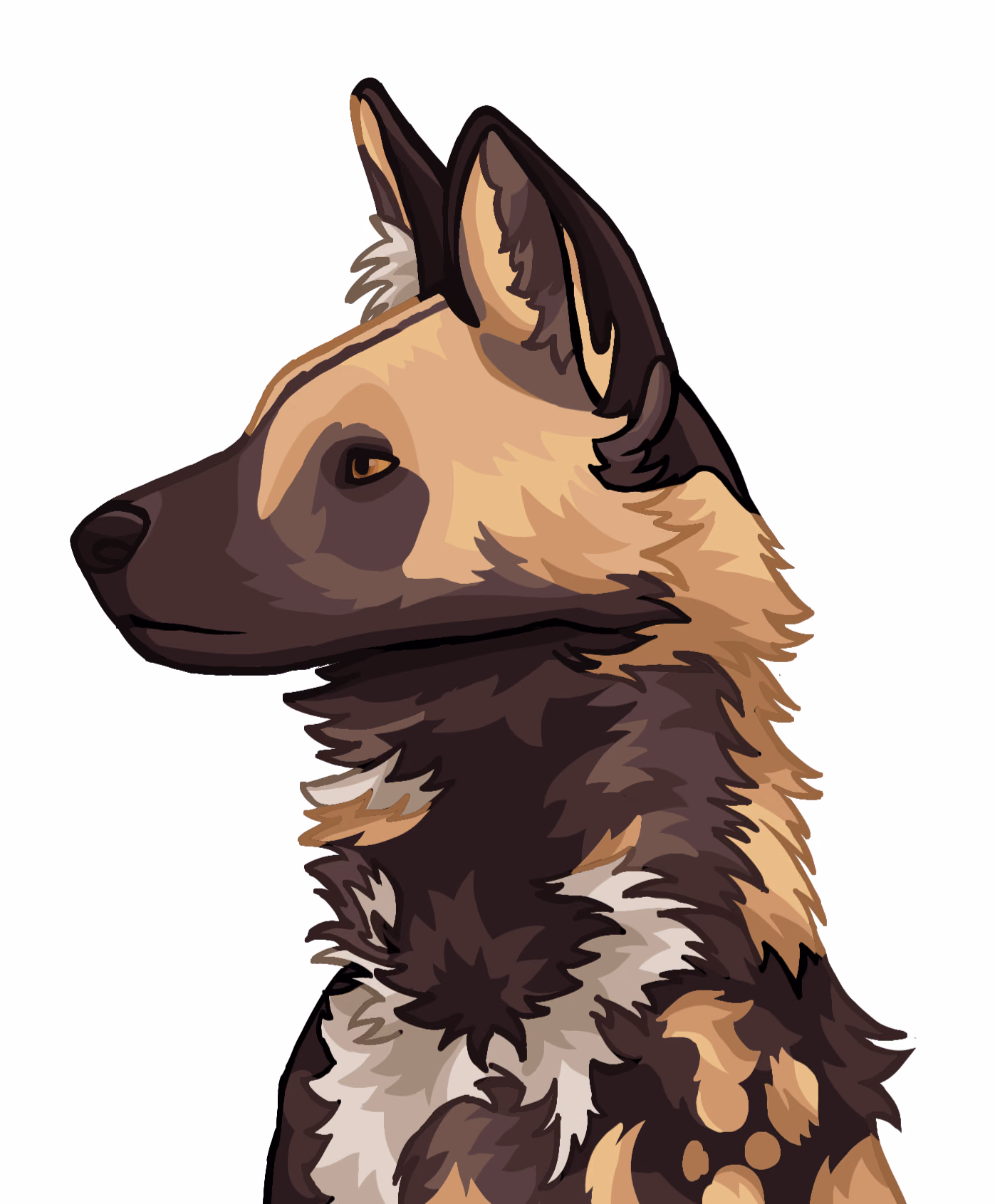 African Wild Dog